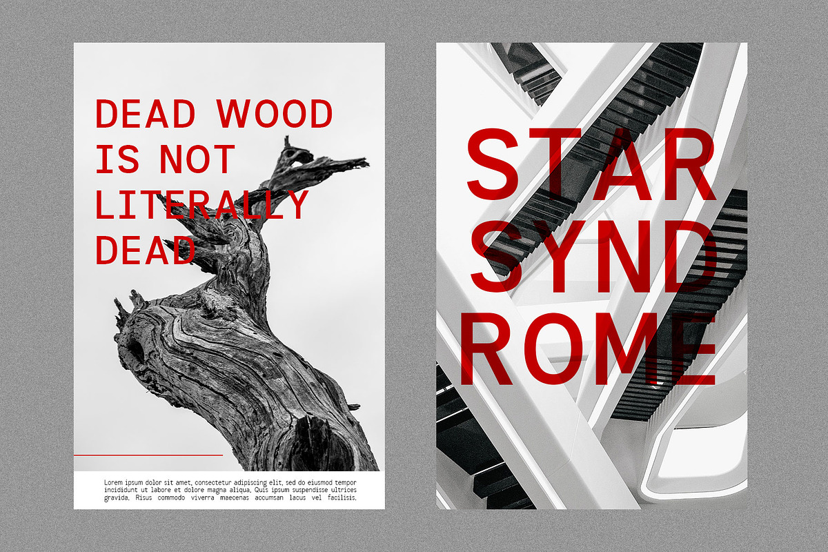 Informe - Monospaced, a Sans Serif Font by Arterfak Project (Photo 4 of 12)