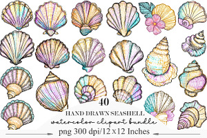 Hand Drawn Seashell Clipart, an Illustration by Designking