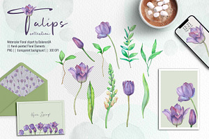 Tulip Watercolor Clipart, Tulip PNG