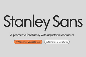 Stanley Sans Geometric Font Family, a Sans Serif Font by BTYPE