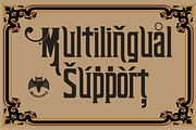 Renouveau, a Serif Font by Intellecta Design (Thumbnail 8 of 11)