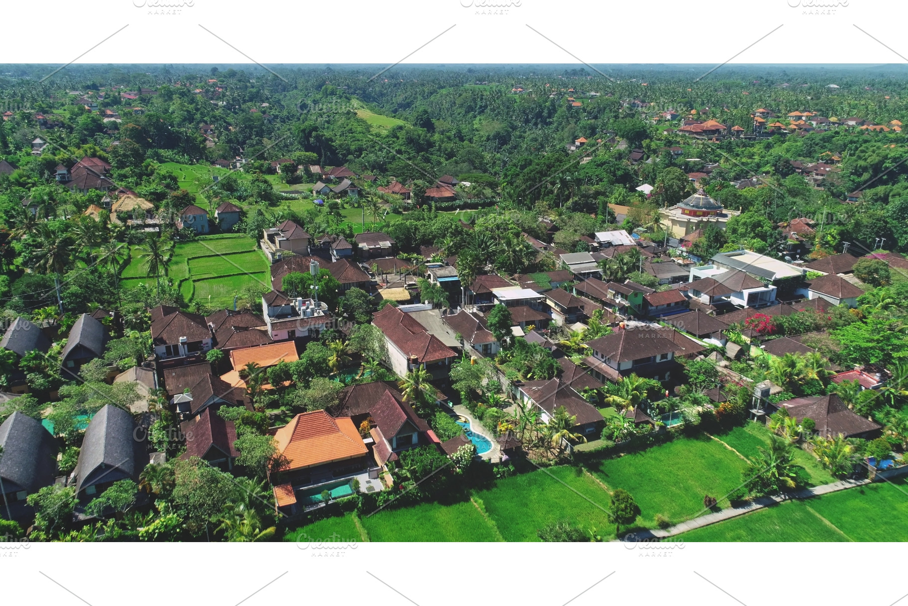 Lush green rice paddies and houses, a Nature Photo by Goinyk