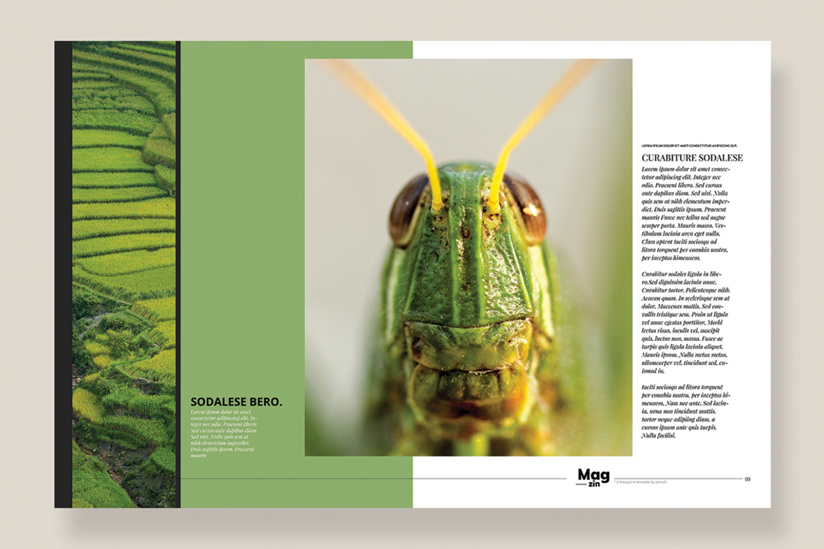 Magazine Template 10, a Magazine Template by pmvch (Photo 7 of 12)