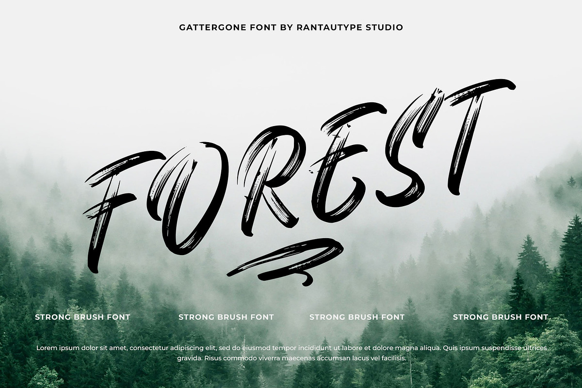 Gattergone Rough Brush Font, a Handwritten Font by RantautypeStudio (Photo 10 of 15)
