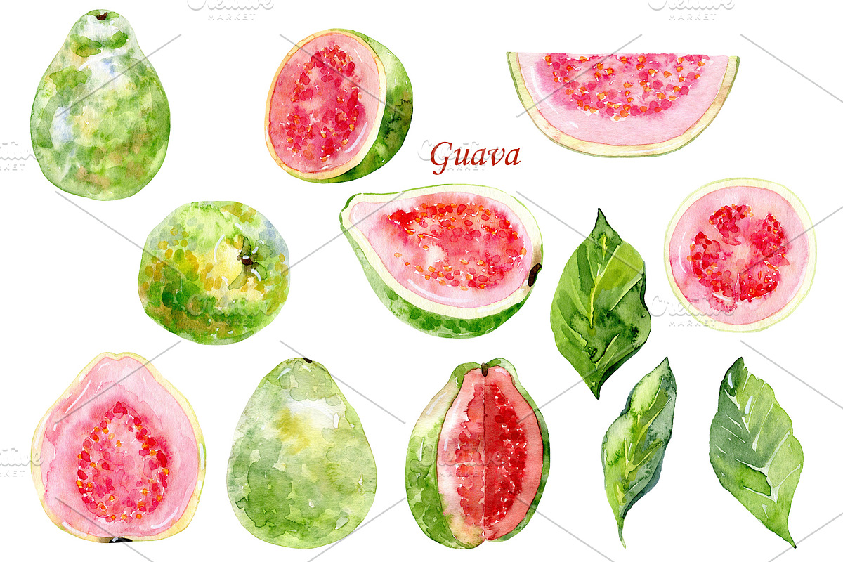 Watercolor tropical fruits., an Illustration by TaPilipa (Photo 11 of 39)