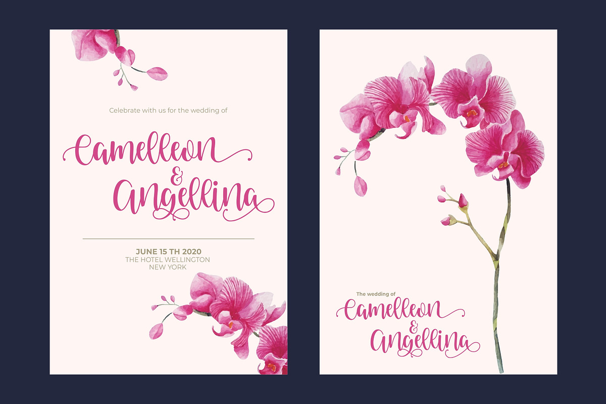 Venoisse - Modern Calligraphy preview 2