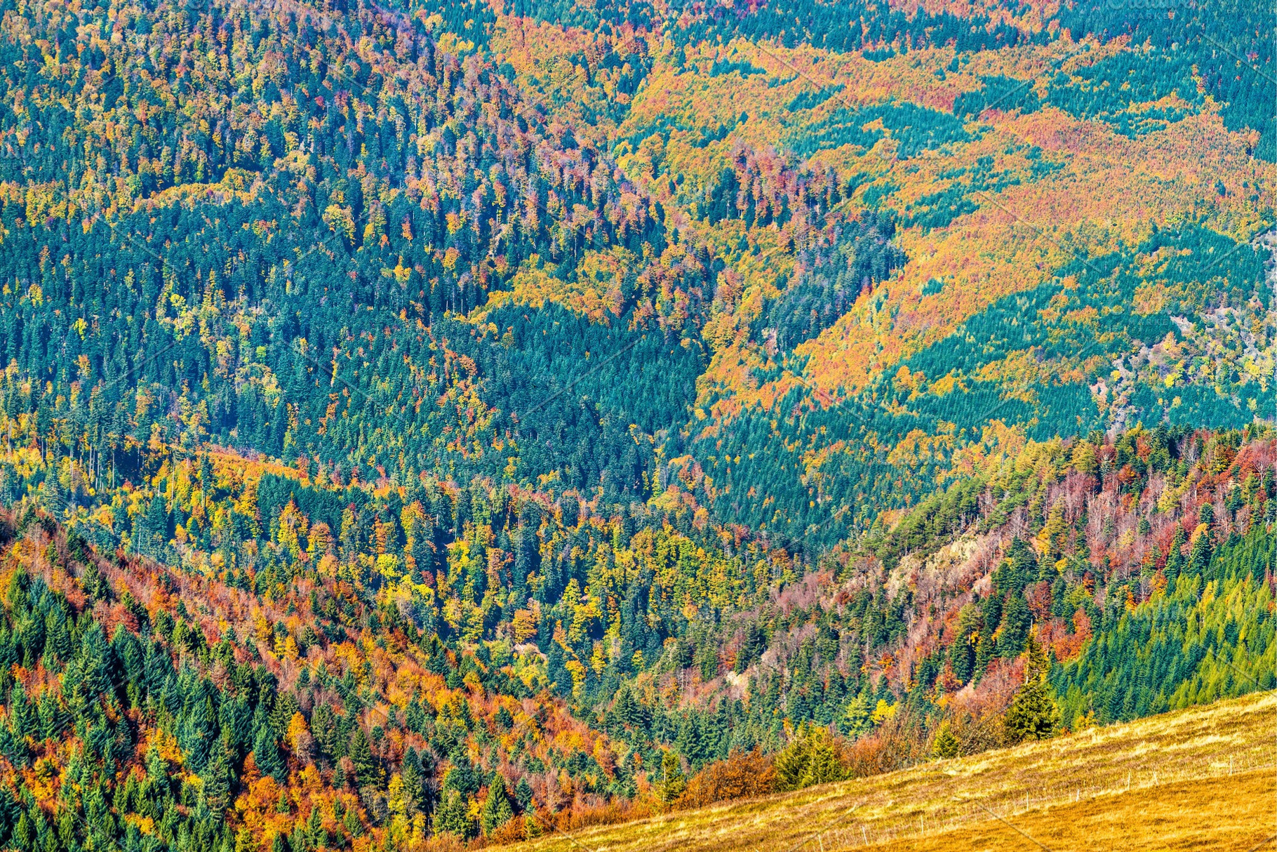 Colorful autumn landscape of the vosges mountains in alsace france containing, a Nature Photo by Leonid Andronov