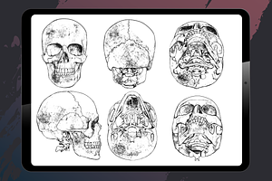 Procreate - Human Skulls Stamps