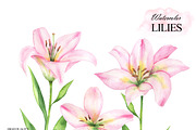 Pink lilies watercolor clipart set, an Illustration by OlDm_Shop (Thumbnail 4 of 10)