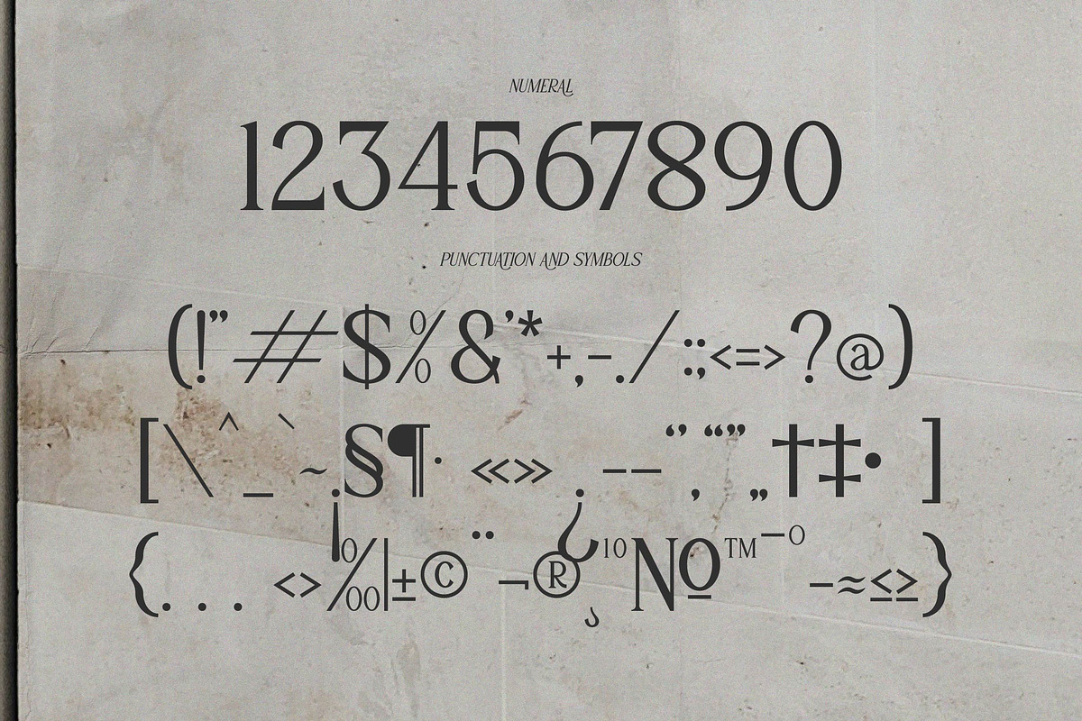 Adigul | Modern Serif, a Serif Font by Denustudios (Photo 11 of 13)