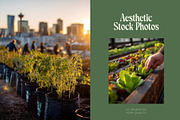 90 Community Garden Stock Photos, a Nature Photo by Incomelion (Thumbnail 5 of 17)