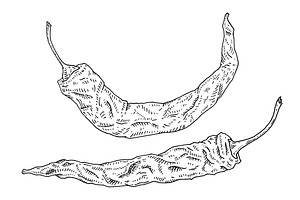 Whole and half dry pepper chilli, a Food Illustration by MoreVector