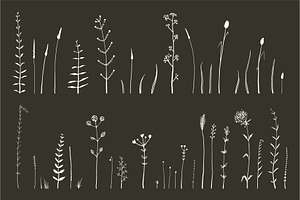 Wild Grass & Herbs Vector Brushes