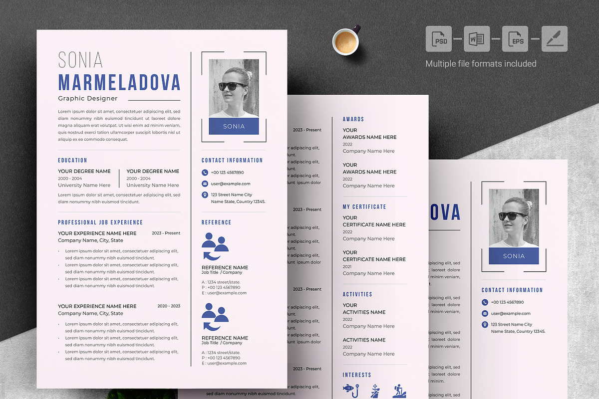 Sleek Corporate Resume Template, a Resume Template by ResumeInventor (Photo 4 of 6)