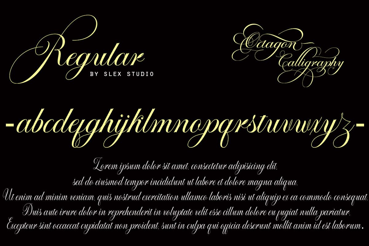 Octagon Calligraphy, a Script Font by Slex Studio (Photo 4 of 8)