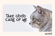 NIEEL, a Sans Serif Font by Khoir (Thumbnail 10 of 13)