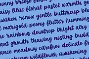 SOFTEST PETAL Vintage Brush Font, a Script Font by Blush Font Co. (Thumbnail 4 of 6)