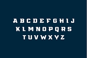 Flyer, a Serif Font by Studio One Four (Thumbnail 2 of 5)