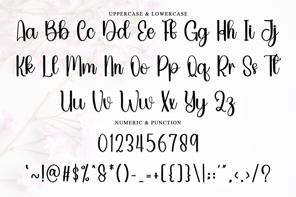 Night Light, a Handwritten Font by FreshTypeINK (Photo 2 of 7)