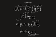 Sagantha | Script Font, a Script Font by Scratchones (Thumbnail 7 of 8)