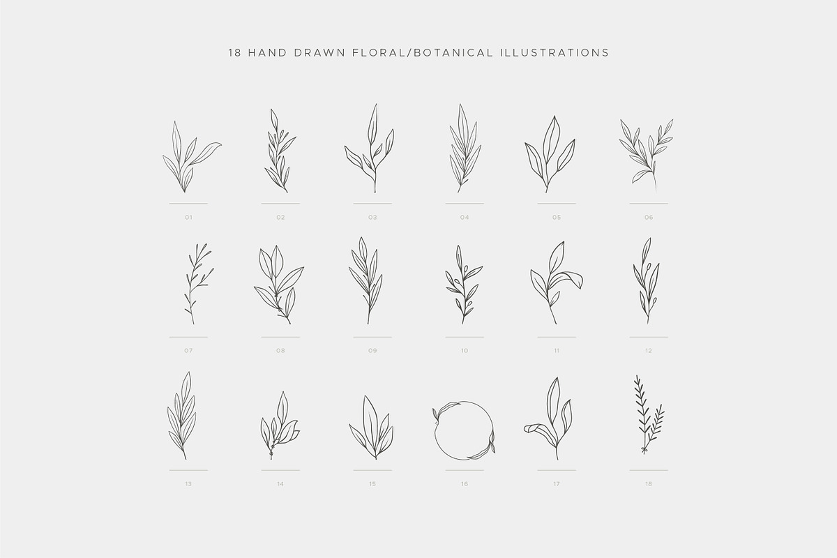 Botanical Logo kit, a Branding & Logo Template by Davide Bassu (Photo 9 of 13)