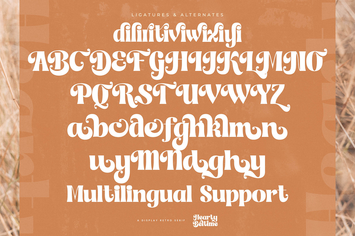 Hearty Beltime Retro Display Font, a Serif Font by timelesstype.co (Photo 19 of 20)