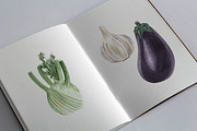 Food bundle-watercolor, a Food Illustration by Visual Animal (Thumbnail 9 of 22)