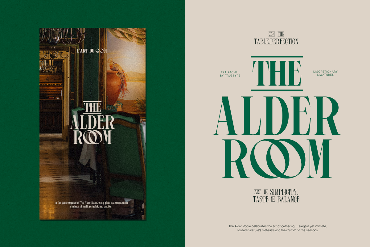 TRT Pachel Luxury Editorial Serif, a Serif Font by truetype (Photo 8 of 15)