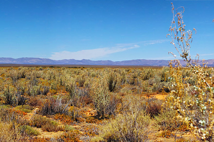 Dry highland savannah, a Photo by Peopleimages.com