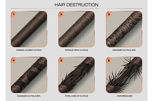 hair damage and breakage, a Healthcare Illustration by Buch&Bee