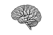 Brain Tree Knowledge Design Bundle, an Illustration by Gaye Art (Thumbnail 23 of 31)