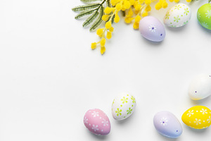 Decorated easter eggs and mimosa flowers on white background, a Holiday Photo by Olena Rudo