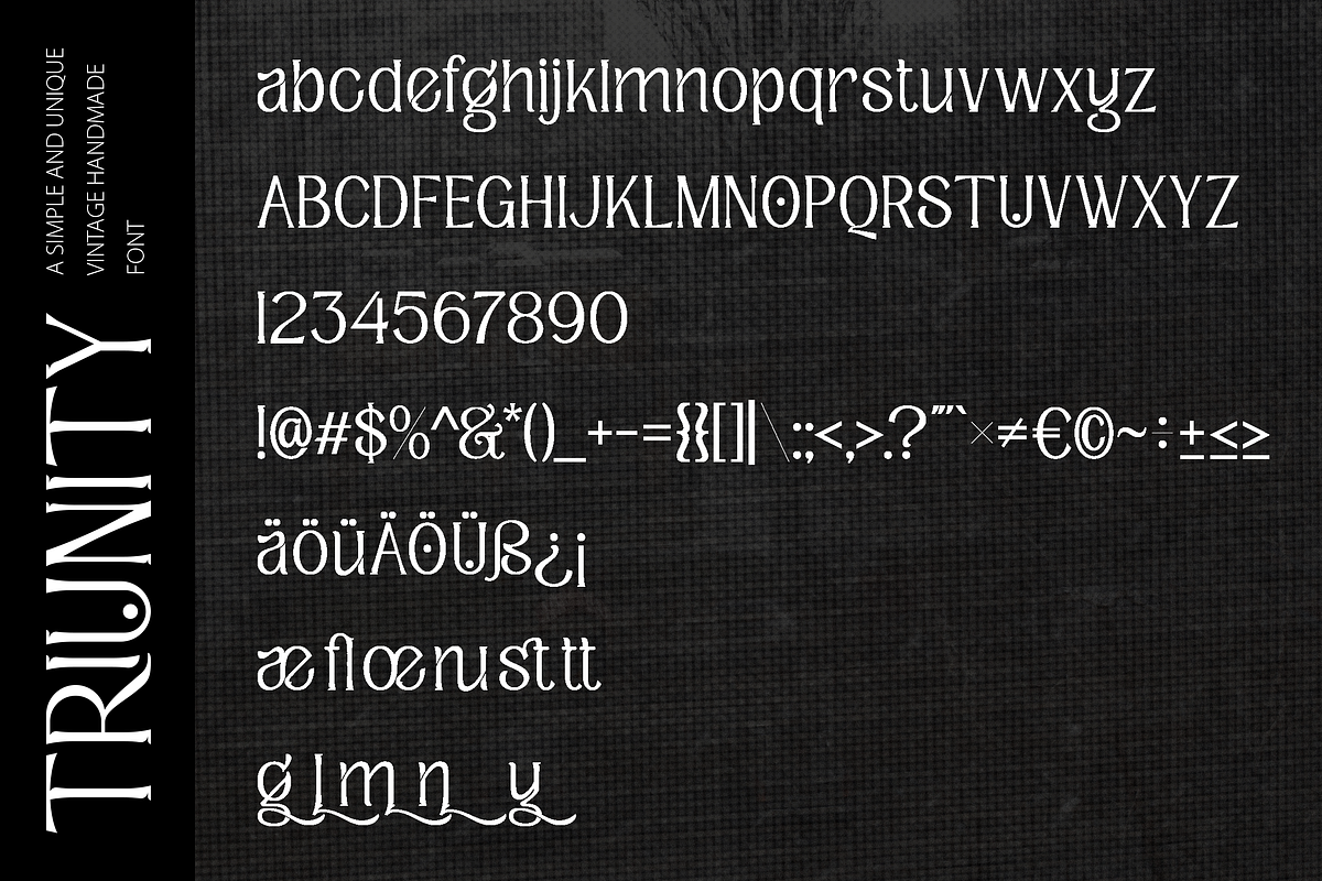 Triunity Vintage Display Font, a Handwritten Font by Fannan Studio (Photo 5 of 6)