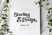 Switella - Modern Decorative Font, a Serif Font by TypeClassHeroes (Thumbnail 6 of 10)
