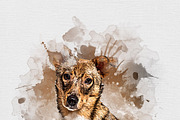 Editable Portrait Effect, an Action Add-On by Photoshop Action (Thumbnail 9 of 15)