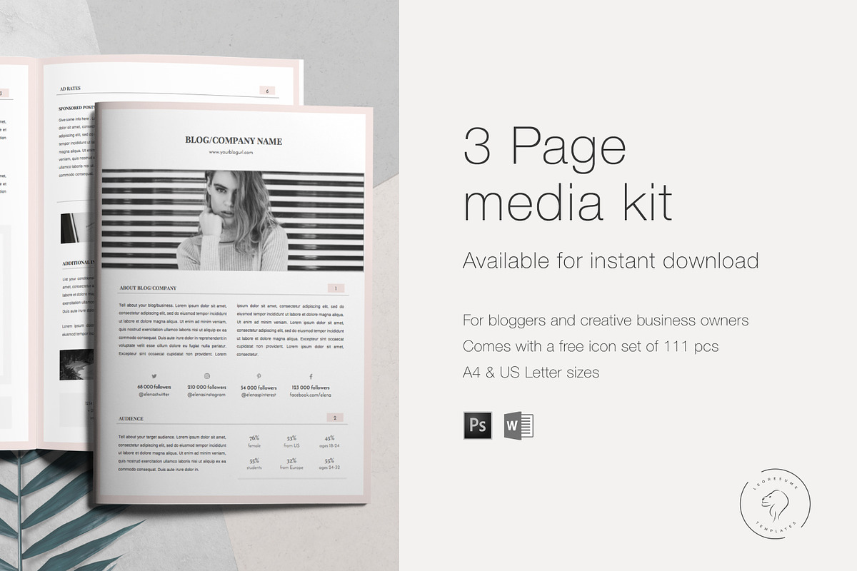 Media Kit Template - 3 Pages, a Resume Template by Leo Resume (Photo 5 of 6)