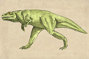 Dinosaurs Watercolor #1  Bundle, an Illustration by Doggy Days (Thumbnail 9 of 14)