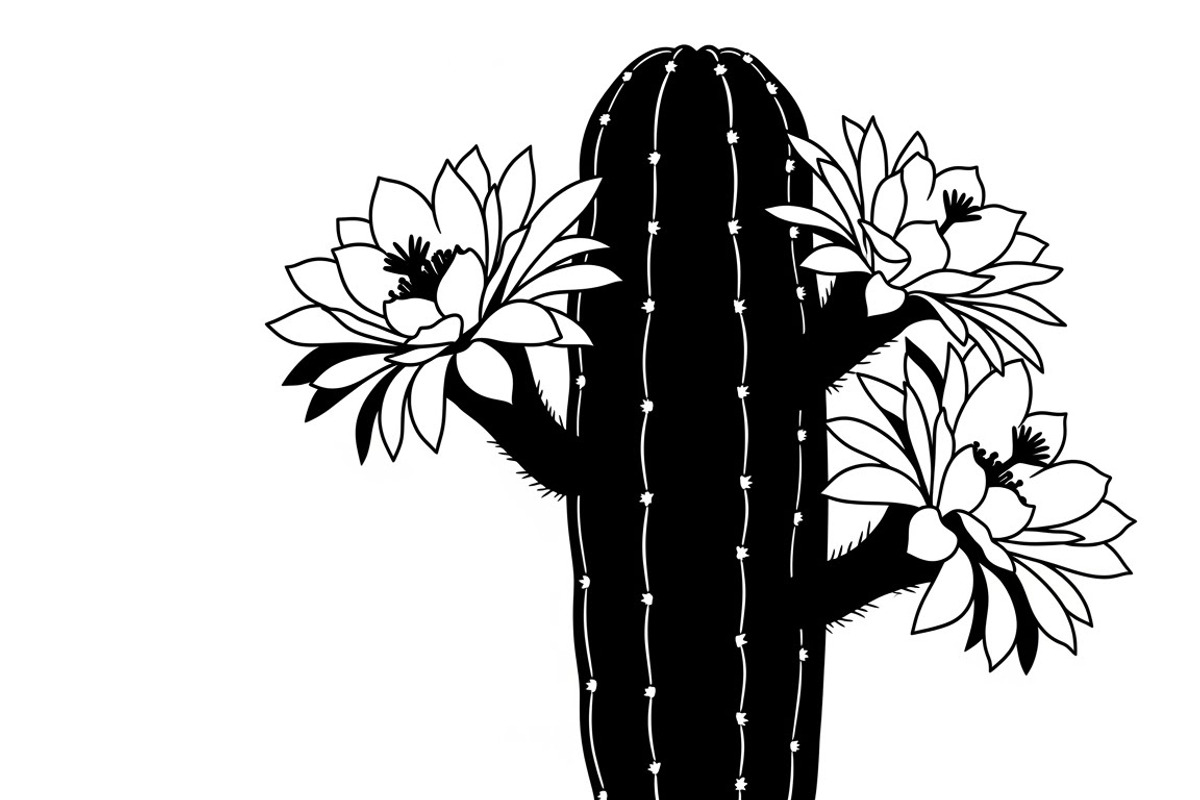 collection of desert cactus silhouet, an Illustration by Amazin_art (Photo 5 of 33)