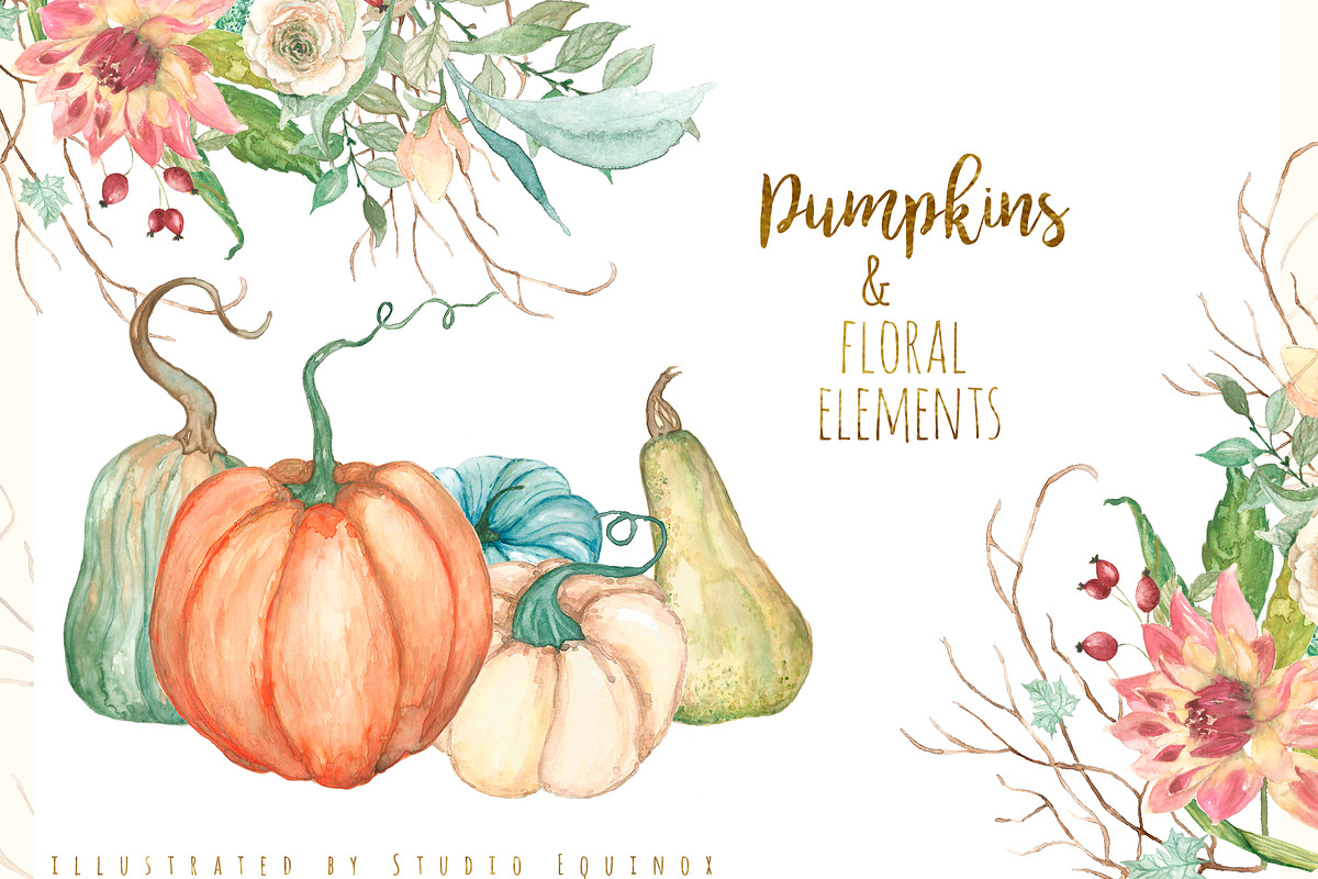 Pumpkin Harvest - Autumnal Graphics, an Object Graphic by studioequinox (Photo 3 of 5)