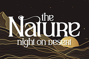 Park Wilson, a Serif Font by LetterStock (Thumbnail 4 of 8)