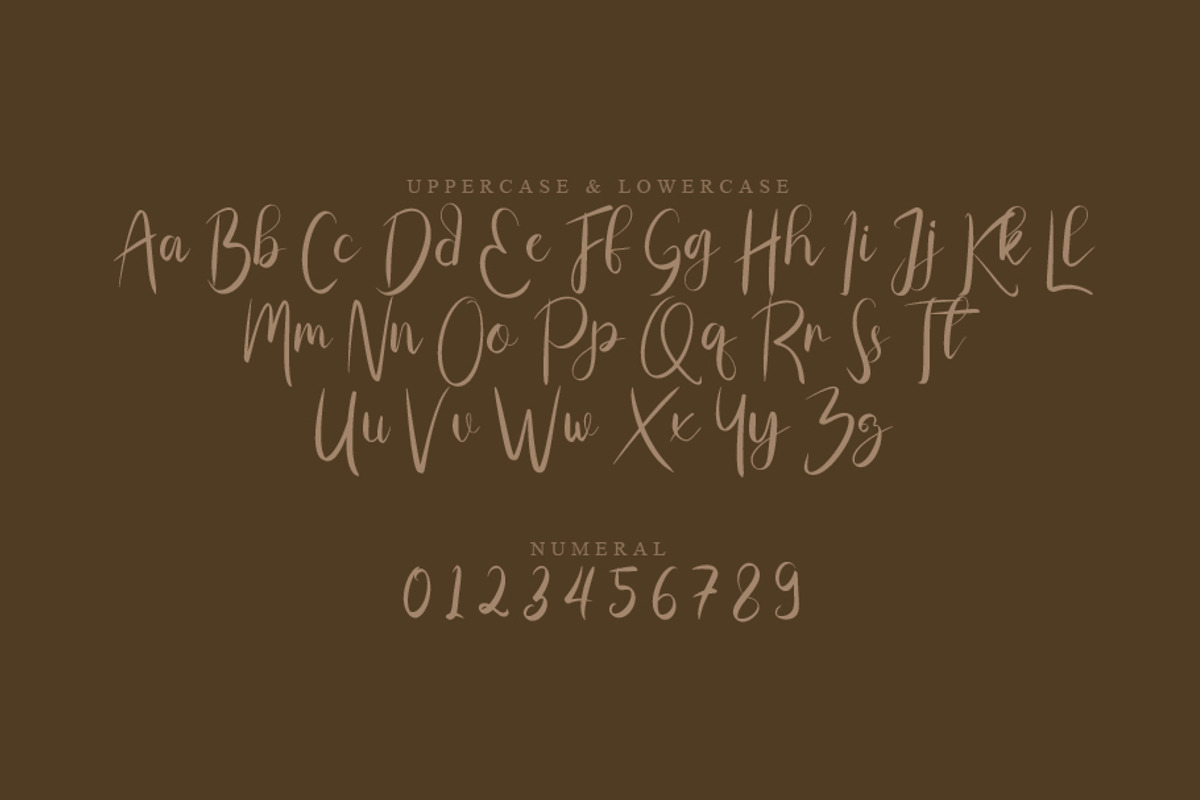 Story, a Script Font by khalwa.studio (Photo 2 of 4)