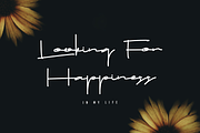 Drop Stay Signature, a Script Font by Dierstudio (Thumbnail 3 of 13)