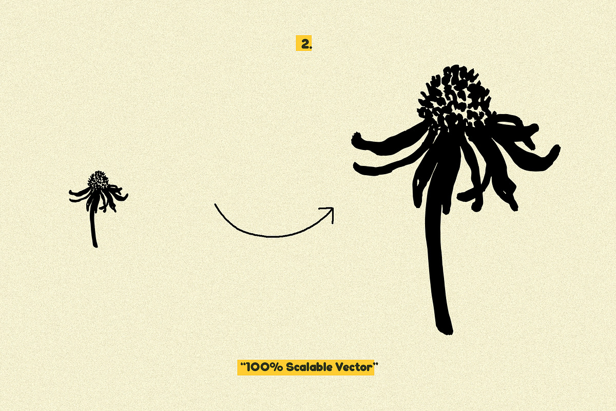 Botanical Vibes: 120 Floral Elements, an Object Illustration by Sheikhadesign (Photo 4 of 15)