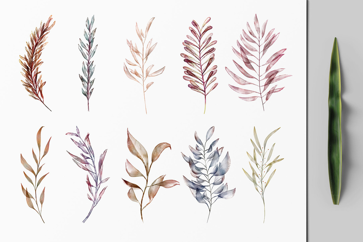 Twigs and Leaves, an Illustration by Michael Rayback Design (Photo 2 of 9)