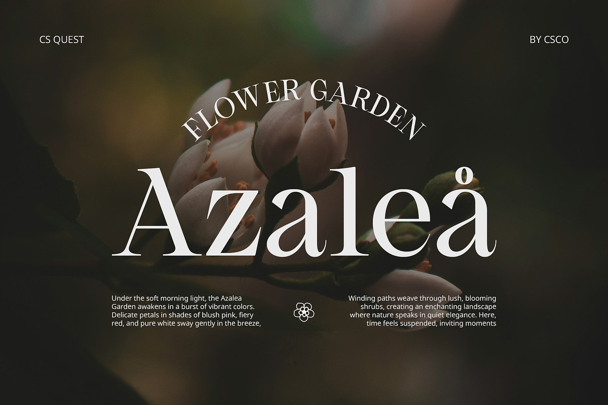 CS Quest – Classic Font, a Serif Font by Craft Supply Co. (Photo 3 of 8)