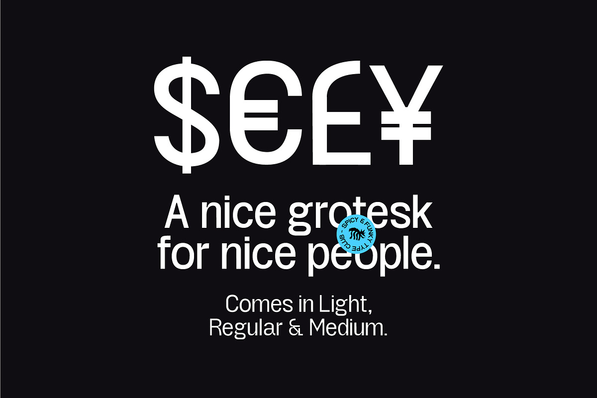 KT Projekt - Grotesk Type, a Sans Serif Font by Kulturë Type (Photo 2 of 9)