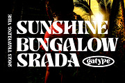 Banner, a Serif Font by Gatype (Thumbnail 8 of 11)