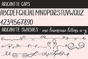Aricantte - Handwritten Font Duo, a Script Font by DreamONprints (Thumbnail 6 of 7)