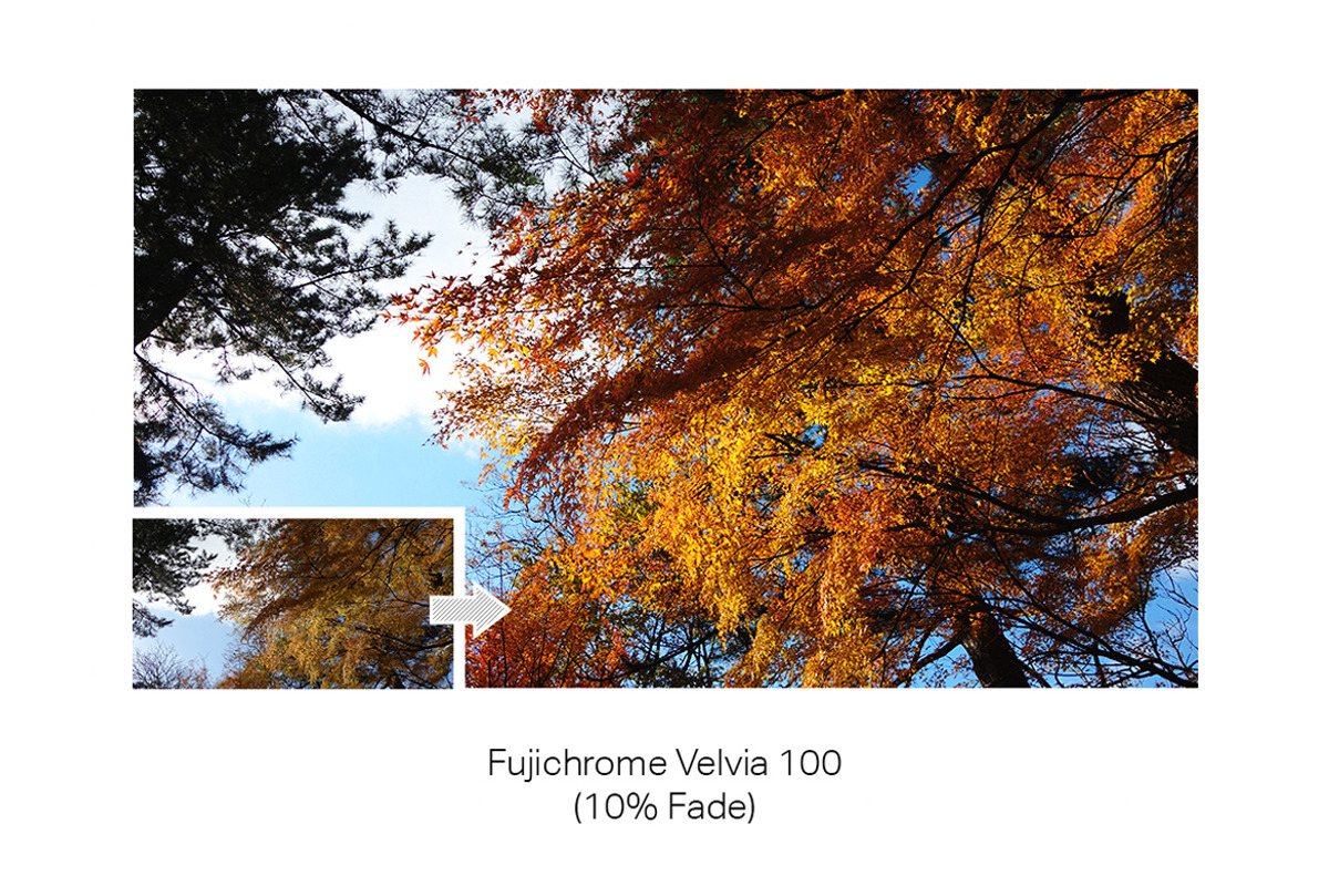 33 Pro Matte Film Actions, an Action Add-On by SparkleStock (Photo 4 of 9)