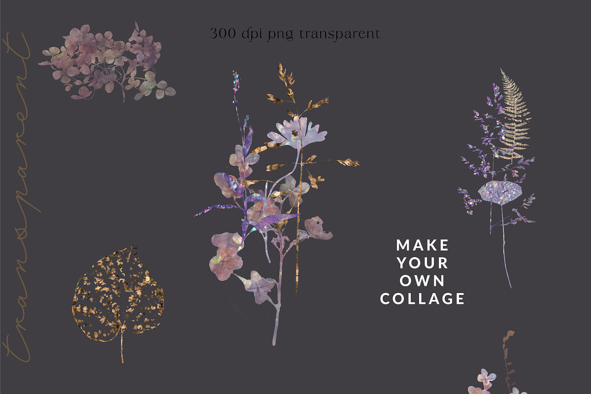 Wildflowers collage collection, a Texture Graphic by Anna Sokol (Photo 4 of 21)